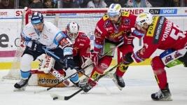 hokej pardubice1 8X8A8608